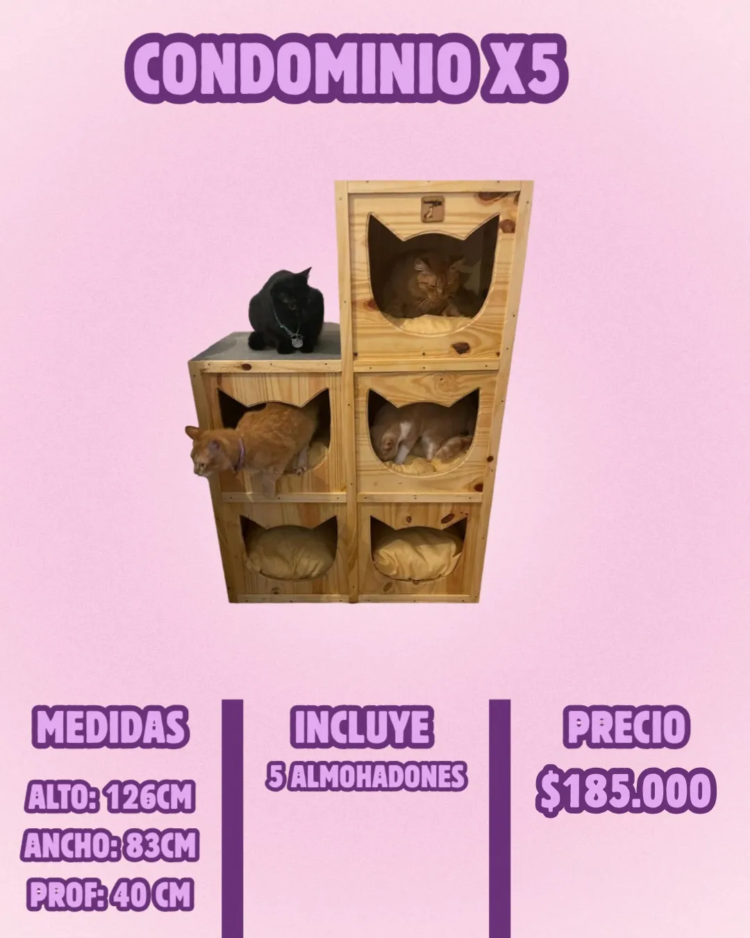 Condominio x5 para gatos – El Shopping de los Bigotes